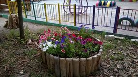 клумба на участке "Василиса"