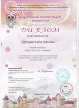 Е.Ю. Дружкова