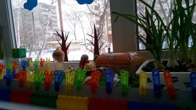 2016 год - группа Колобок