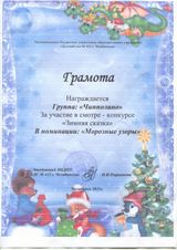 Номинация "Морозные узоры"