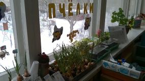 2016 год - группа Мальвина