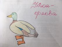 Роман М. группа "Колобок"